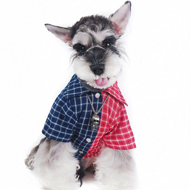 Módne oblečenie pre domáce zvieratá pre malých psov, oblečenie pre domáce zvieratá, tričko, francúzsky buldoček, priedušné tričko, módny kostým mopsa, produkt pre domáce zvieratá