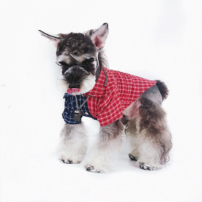 Módne oblečenie pre domáce zvieratá pre malých psov, oblečenie pre domáce zvieratá, tričko, francúzsky buldoček, priedušné tričko, módny kostým mopsa, produkt pre domáce zvieratá