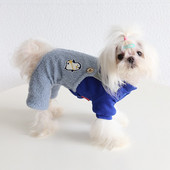 Villane koerte kutsikariided, talvine neljajalgne chihuahua