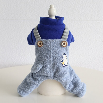 Villane koerte kutsikariided, talvine neljajalgne chihuahua