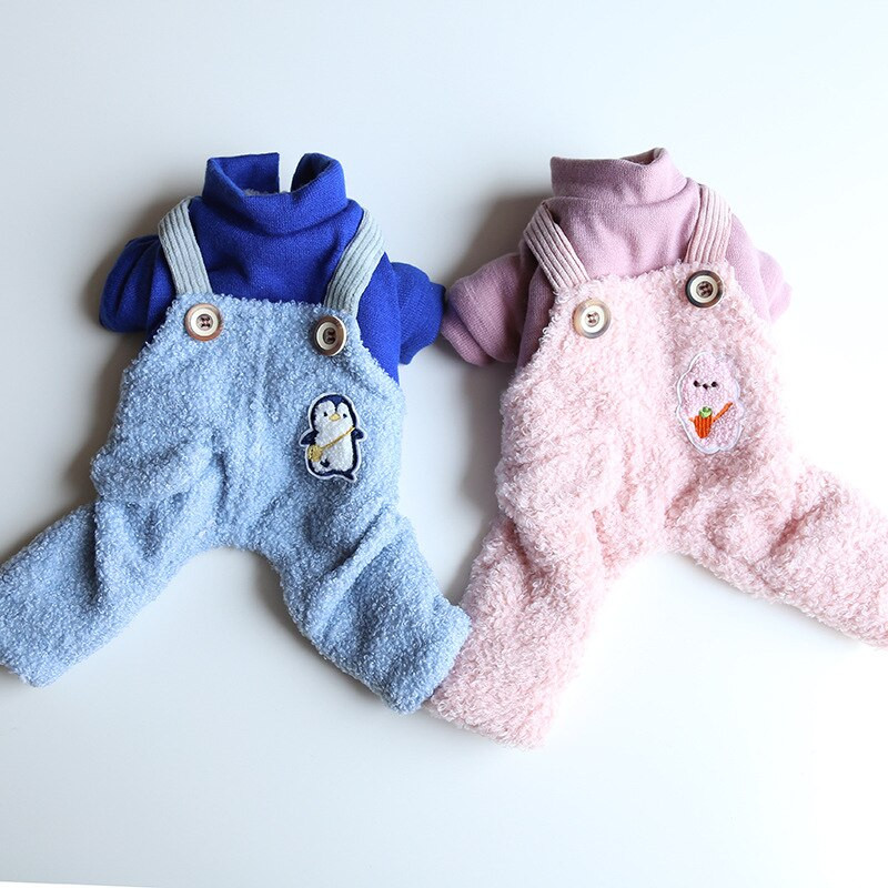 Villane koerte kutsikariided, talvine neljajalgne chihuahua