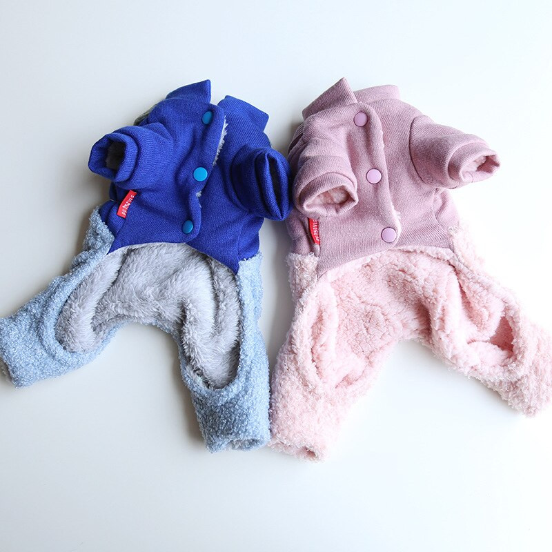 Villane koerte kutsikariided, talvine neljajalgne chihuahua