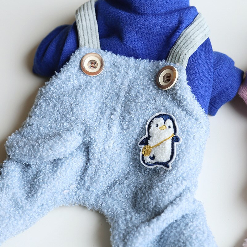 Villane koerte kutsikariided, talvine neljajalgne chihuahua