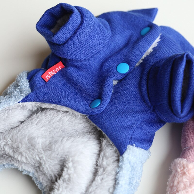 Villane koerte kutsikariided, talvine neljajalgne chihuahua