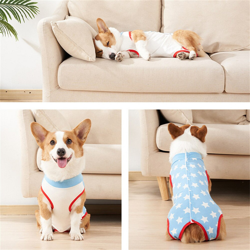 Atkūrimo kostiumas šuniui pooperacinė liemenė augintinis po operacijos pilvo žaizdos šuniukas chirurginiai drabužiai, dėvėkite šuns pakaitinį kostiumą