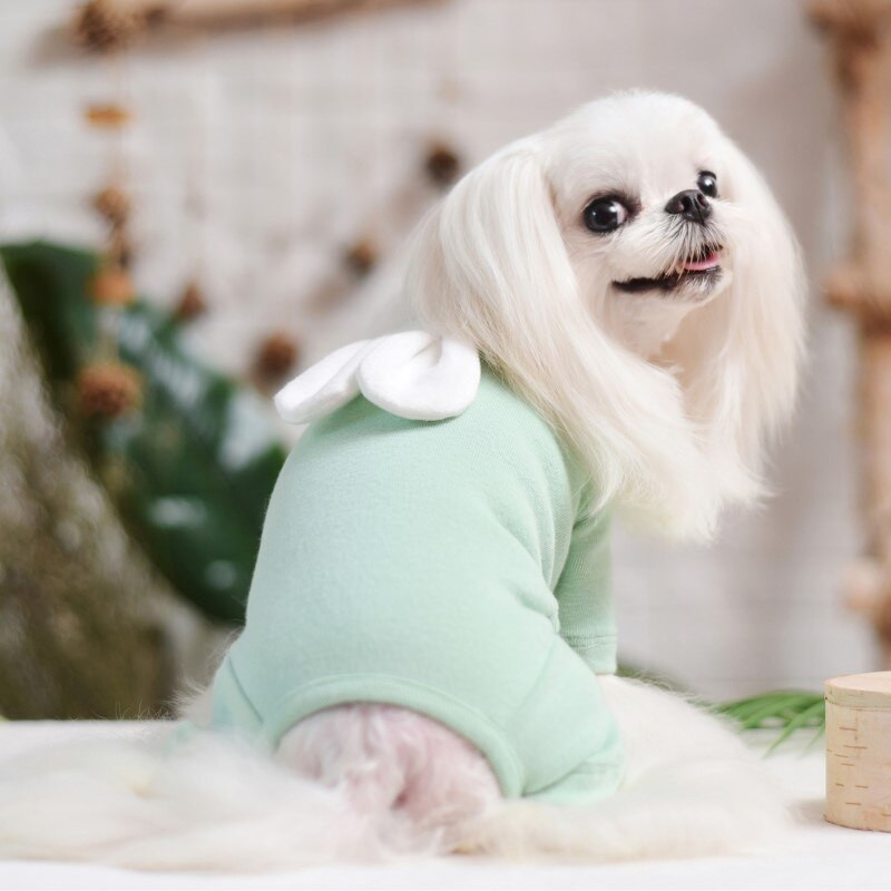 Domáce zvieratá Produkty Psy Mačky Dodávky Móda Roztomilé Overaly s králičími ušami