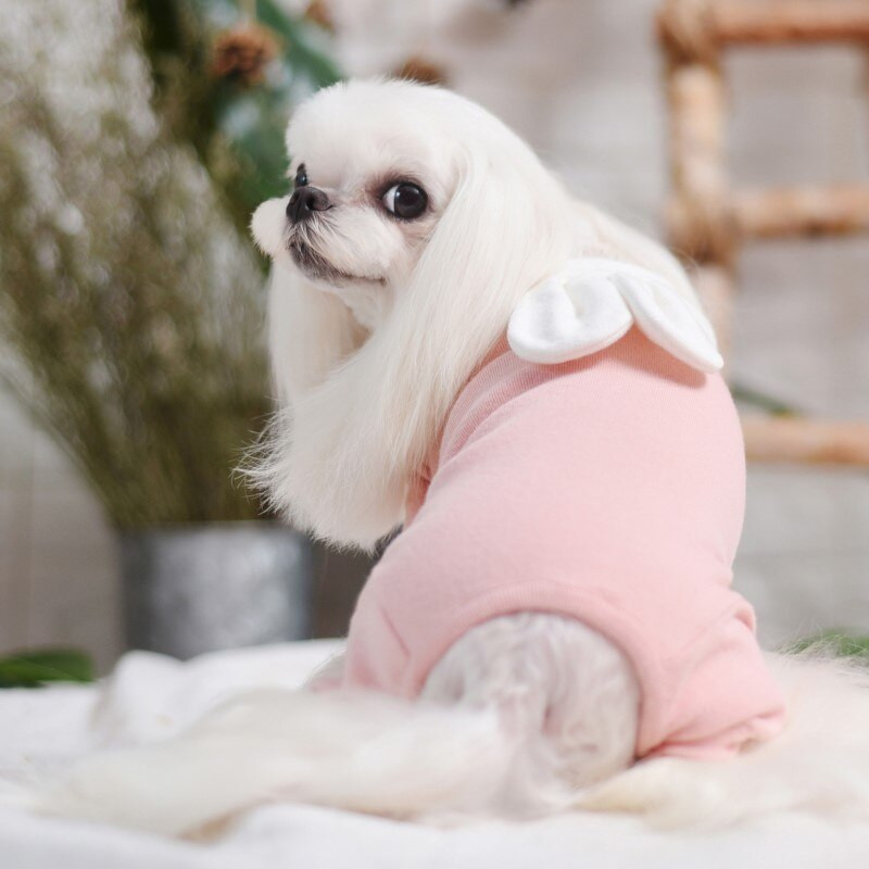 Domáce zvieratá Produkty Psy Mačky Dodávky Móda Roztomilé Overaly s králičími ušami