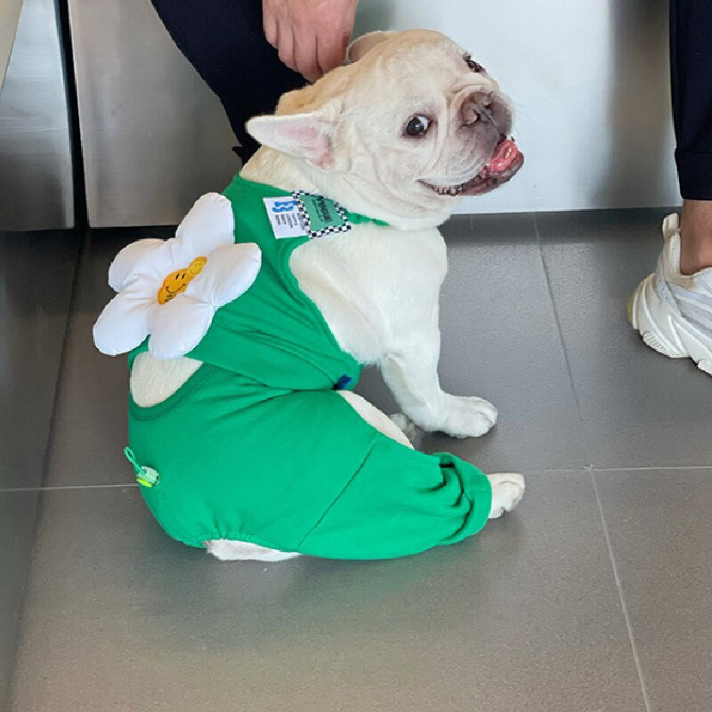 Ρούχα γαλλικού μπουλντόγκ Winter Poodle Bichon Schnauzer Pug Ρούχα σκυλιών West Highland White Terrier Shiba Inu Στολή για κατοικίδια