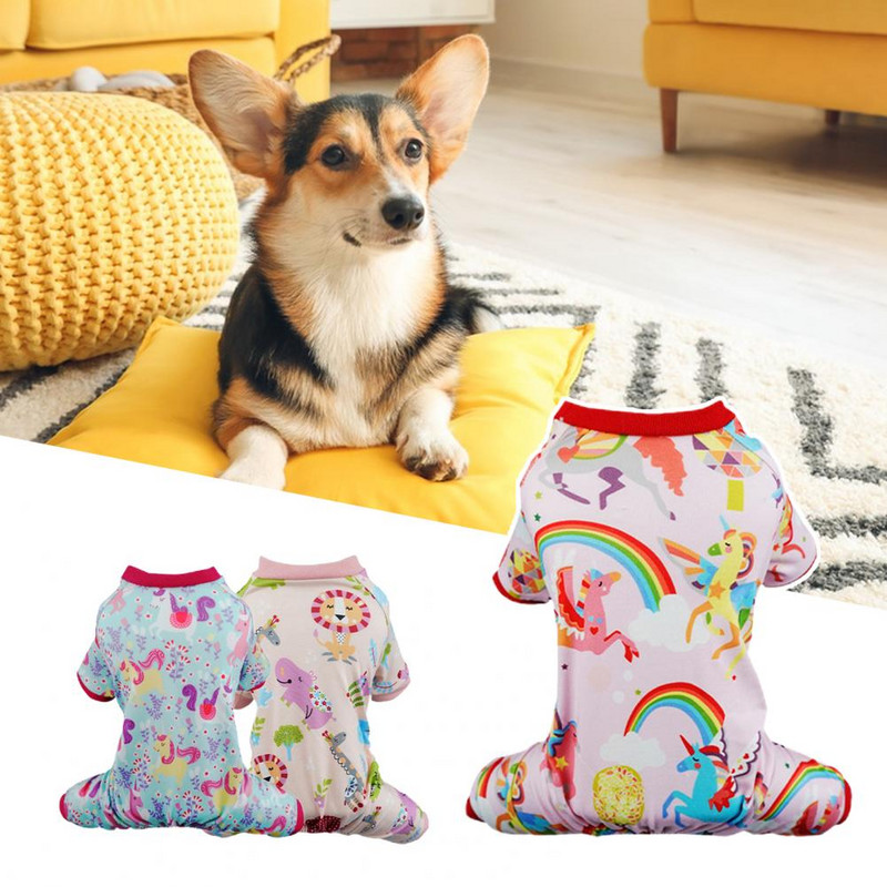 Lemmikloomade koduriided Pehmed tuulekindlad fotograafiarekvisiidid Värvilised vikerkaarekujulised lemmikloomade pidžaamade lemmikloomad sügiseks
