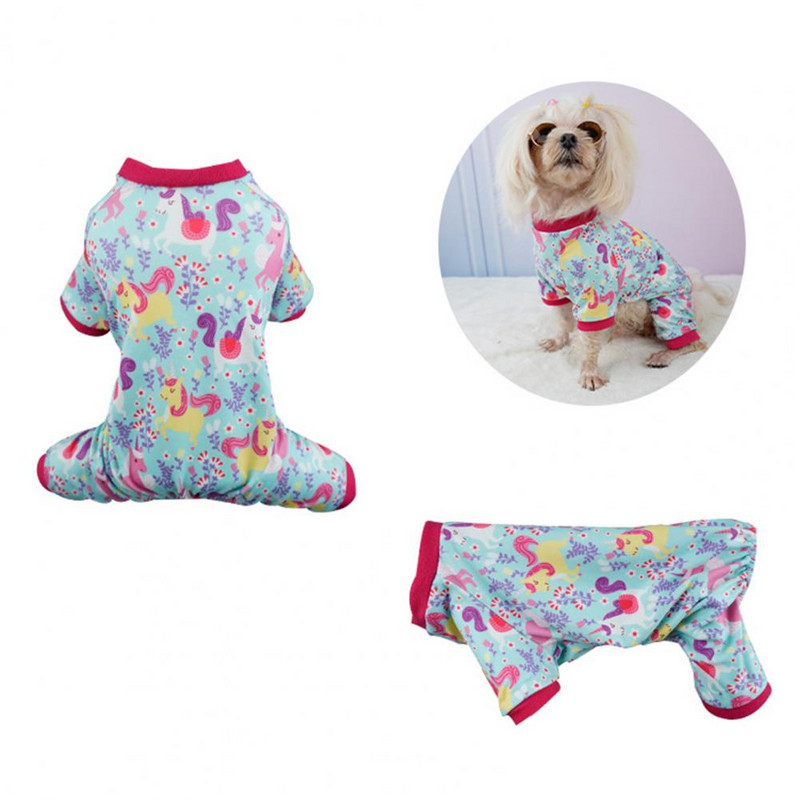 Lemmikloomade koduriided Pehmed tuulekindlad fotograafiarekvisiidid Värvilised vikerkaarekujulised lemmikloomade pidžaamade lemmikloomad sügiseks