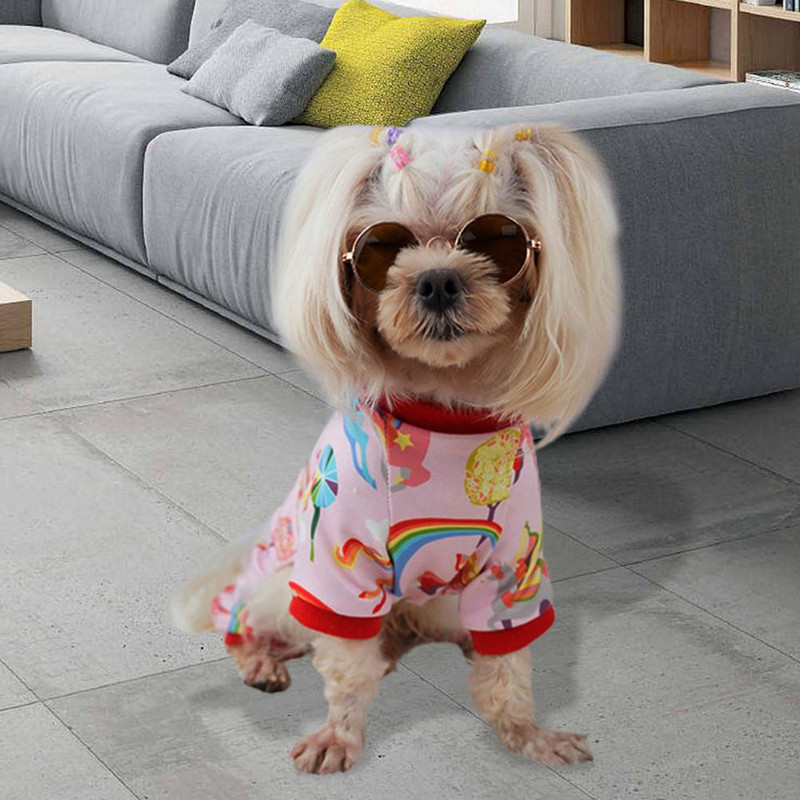 Lemmikloomade koduriided Pehmed tuulekindlad fotograafiarekvisiidid Värvilised vikerkaarekujulised lemmikloomade pidžaamade lemmikloomad sügiseks