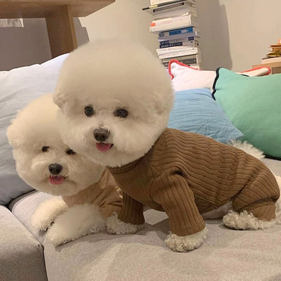 Lemmikloomakoerte riided Pehmed soojad fliisist koerte vestiriided väikestele koertele kutsikatele kassidele Chihuahua puudel Teddy Bichon Yorkshire`i riided XS