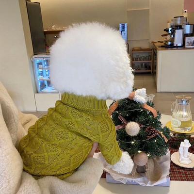 Lemmikloomakoerte riided Pehmed soojad fliisist koerte vestiriided väikestele koertele kutsikatele kassidele Chihuahua puudel Teddy Bichon Yorkshire`i riided XS