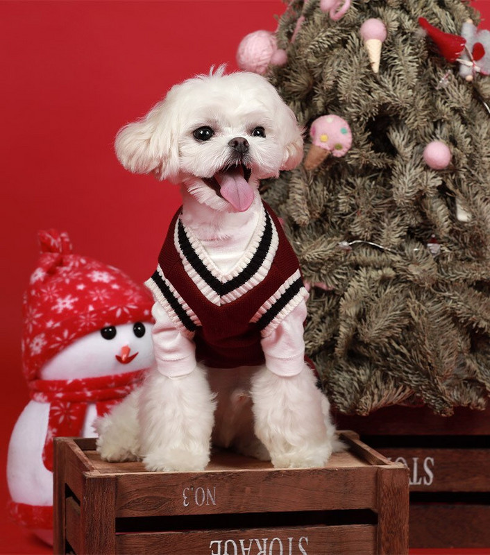 Oblečenie pre psov, sveter pre malých a veľkých psov, vesta pre domáce zvieratá, nové oblečenie s výstrihom do V pre študentov, pruhovaný kostým pre domáce zvieratá, kabát s plyšovým štedrovečerným krížencom