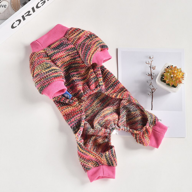 Overal pre psa a mačku s kapucňou, dúhový dizajn, kabát pre domáce zvieratá, šteňa, bunda, jarné/jesenné oblečenie