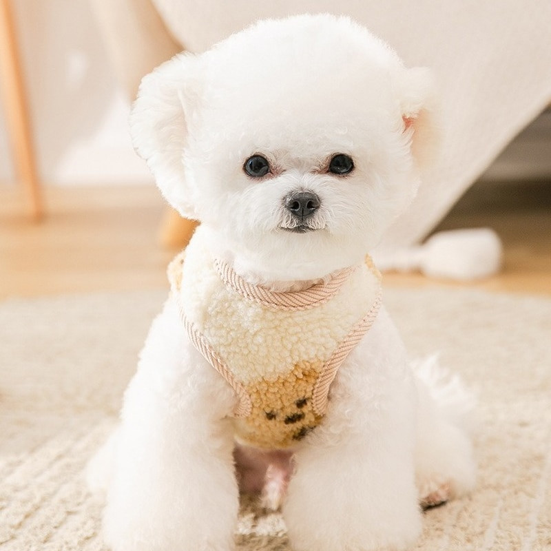 Jarná jesenná vesta pre domáce zvieratá s mačacou potlačou, kardigan pre mačky a psov, jahňacia flísová bunda pre mačiatka, šteniatka, oblečenie bez rukávov pre psov, vesta pre psov, potreby pre psov