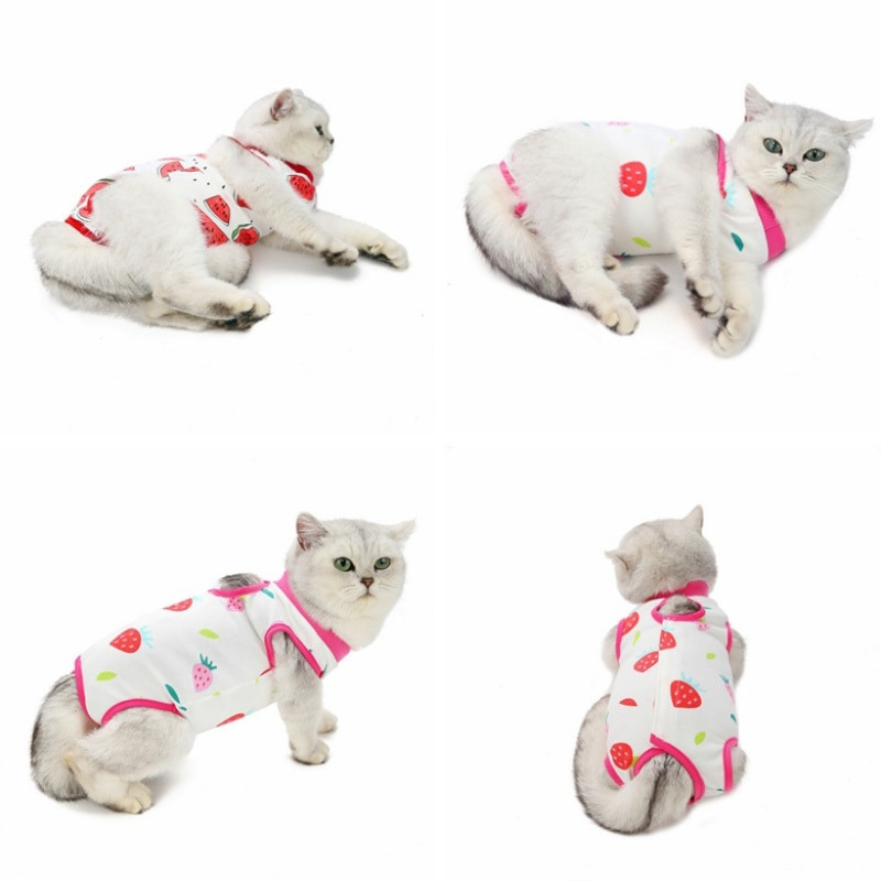 Καλοκαιρινό κοστούμι αποστείρωσης κατοικίδιων γατών Χειρουργείο μετά την ανάκτηση Ρούχα αποστείρωσης για γάτες Αντιγλείψιμο γιλέκο γατούλας στολή απογαλακτισμού