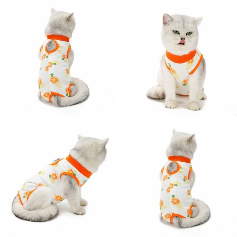 Καλοκαιρινό κοστούμι αποστείρωσης κατοικίδιων γατών Χειρουργείο μετά την ανάκτηση Ρούχα αποστείρωσης για γάτες Αντιγλείψιμο γιλέκο γατούλας στολή απογαλακτισμού