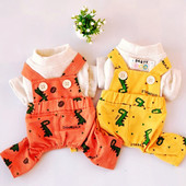 Haine pentru câini mici, iarnă, toamnă, modă, salopetă, lână de pisică, pulover de desene animate, cățeluș, haină caldă, dulce, costum gros, pudel, chihuahua, pug