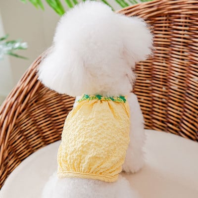 Melónová vesta Oblečenie pre domáce zvieratá Psy Kreslené krátke oblečenie pre psov Mačací kostým Bavlnený tenký Labrador Roztomilý letný červený chlapec dievčatko Maskoti