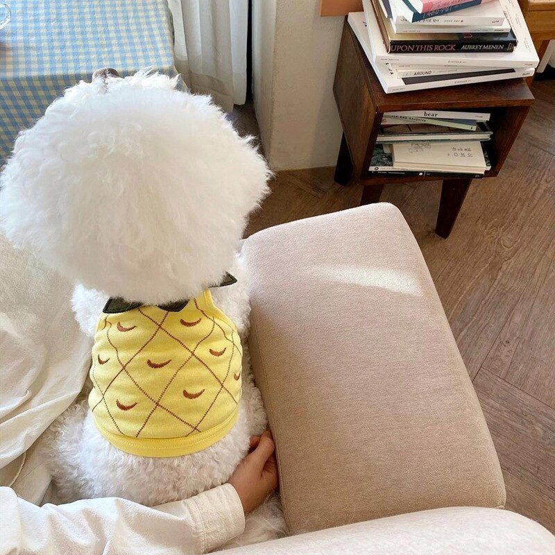 Melónová vesta Oblečenie pre domáce zvieratá Psy Kreslené krátke oblečenie pre psov Mačací kostým Bavlnený tenký Labrador Roztomilý letný červený chlapec dievčatko Maskoti