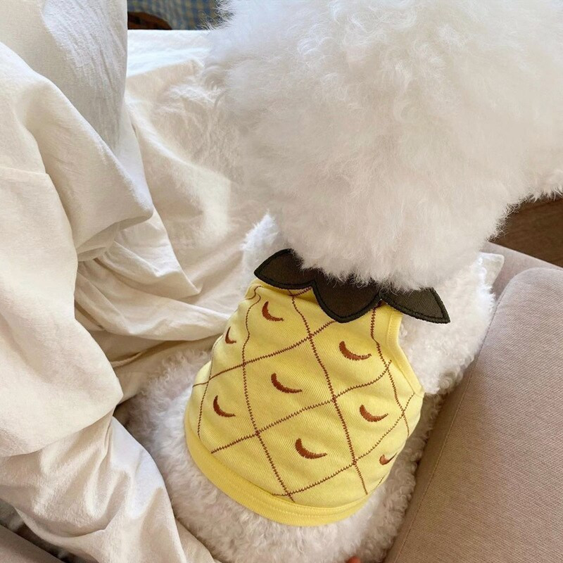 Melónová vesta Oblečenie pre domáce zvieratá Psy Kreslené krátke oblečenie pre psov Mačací kostým Bavlnený tenký Labrador Roztomilý letný červený chlapec dievčatko Maskoti