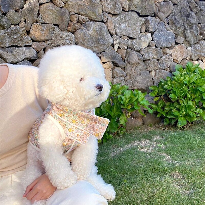 Lemmikloomariided Sügis Talv Keskmine Väike Koer Soe Vest Mood Lill Magus Sall Muster Kassipoeg Kutsikas Armas Mantel Yorkshire Puudel