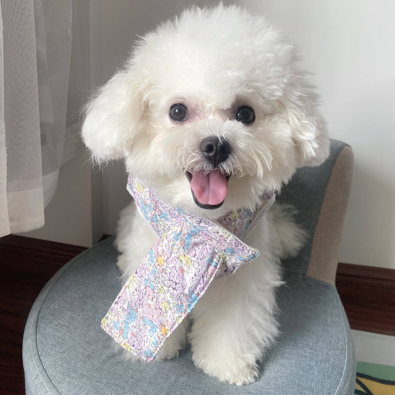 Lemmikloomariided Sügis Talv Keskmine Väike Koer Soe Vest Mood Lill Magus Sall Muster Kassipoeg Kutsikas Armas Mantel Yorkshire Puudel