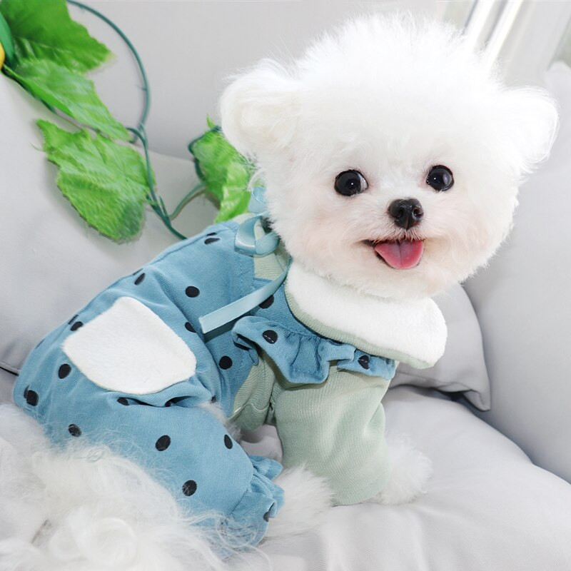 Pet Drăguț Salopetă Toamnă Iarnă Câine Mic Mediu Patru picioare Haine Kawaii Pulover Pisicuțe Cățeluș Pijamale Dulci Pudel Yorkshire
