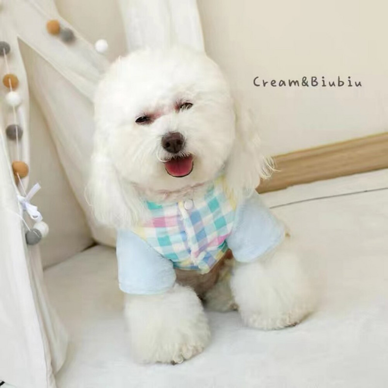 Kutsikas soe kampsun Talvine sügismood Jumpsuit kassi ruuduline villane kapuuts, keskmine väike koer, magus mantel Chihuahua puudel Yorkshire