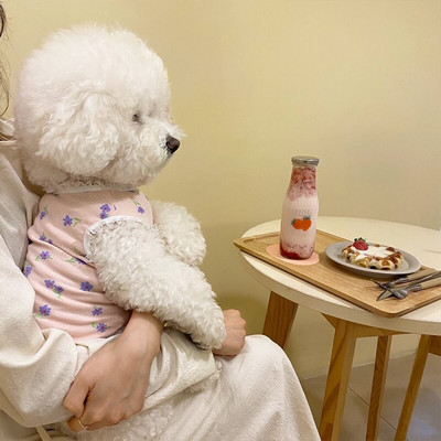 Розова дантелена пижама за кученца Лятна жилетка за домашни любимци Тънък пуловер с шнауцер Тениска с цветя Теди Популярни дрехи за кучета Аксесоари за кучета