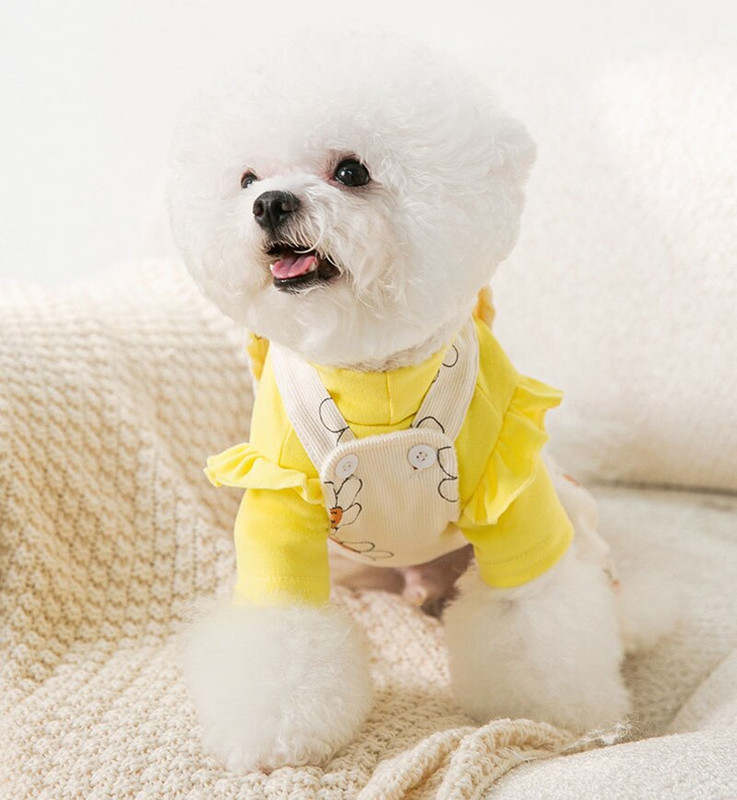Salopete pentru animale de companie Hainate pentru câini de talie mică Ținute de modă Imprimare de modă Bretele drăguțe Chihuahua York Bulldog Iarnă caldă Costum de îmbrăcăminte pentru câini