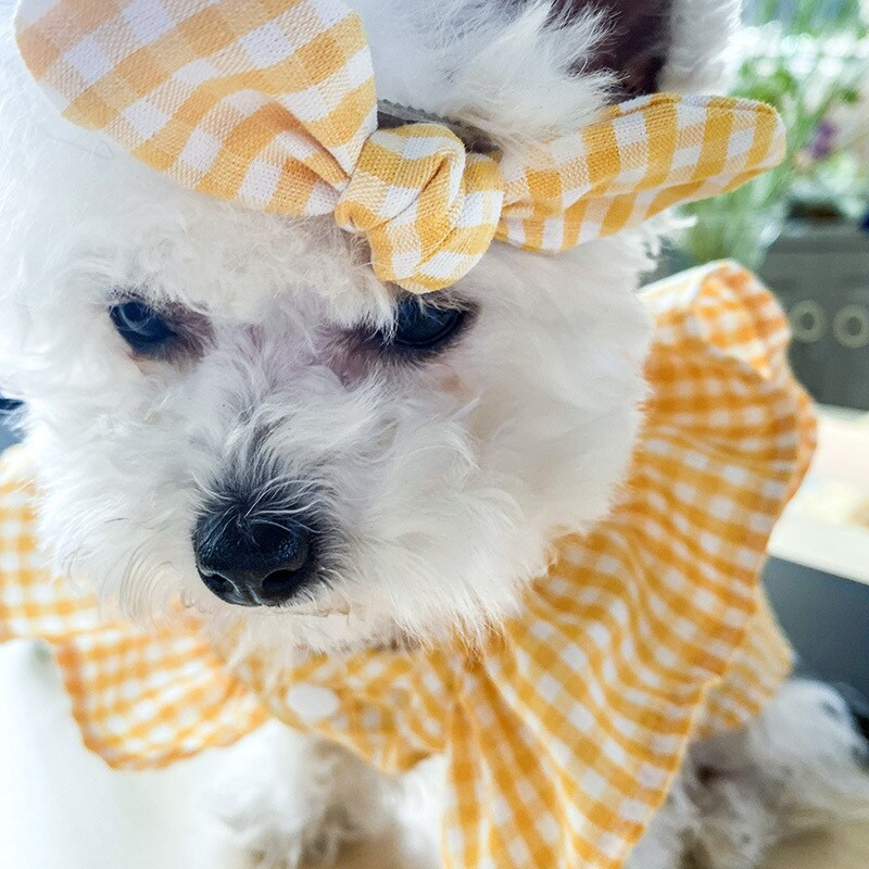 Minkšti vasariniai naminių gyvūnėlių marškinėliai Madingi languoti šunų liemenių drabužiai mažiems šunims Čihuahua medvilniniai šuniukų marškinėliai Marškinėliai kačių liemenės su lanku