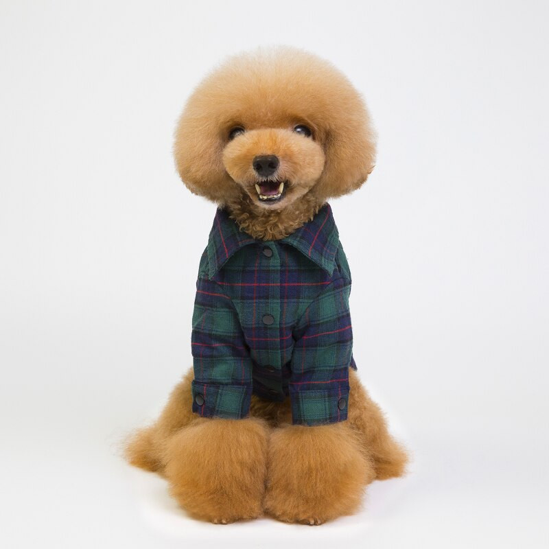 Uued lemmikloomariided koerariided kahe jalaga mängukaru prantsuse buldog Pommeri chihuahua koerasärk ruuduline riietus