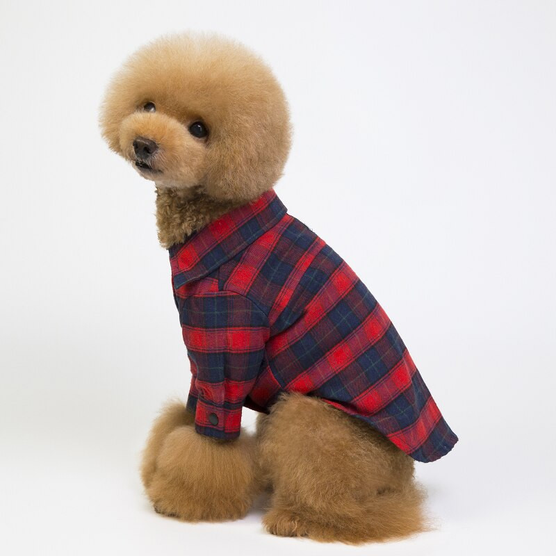 Uued lemmikloomariided koerariided kahe jalaga mängukaru prantsuse buldog Pommeri chihuahua koerasärk ruuduline riietus