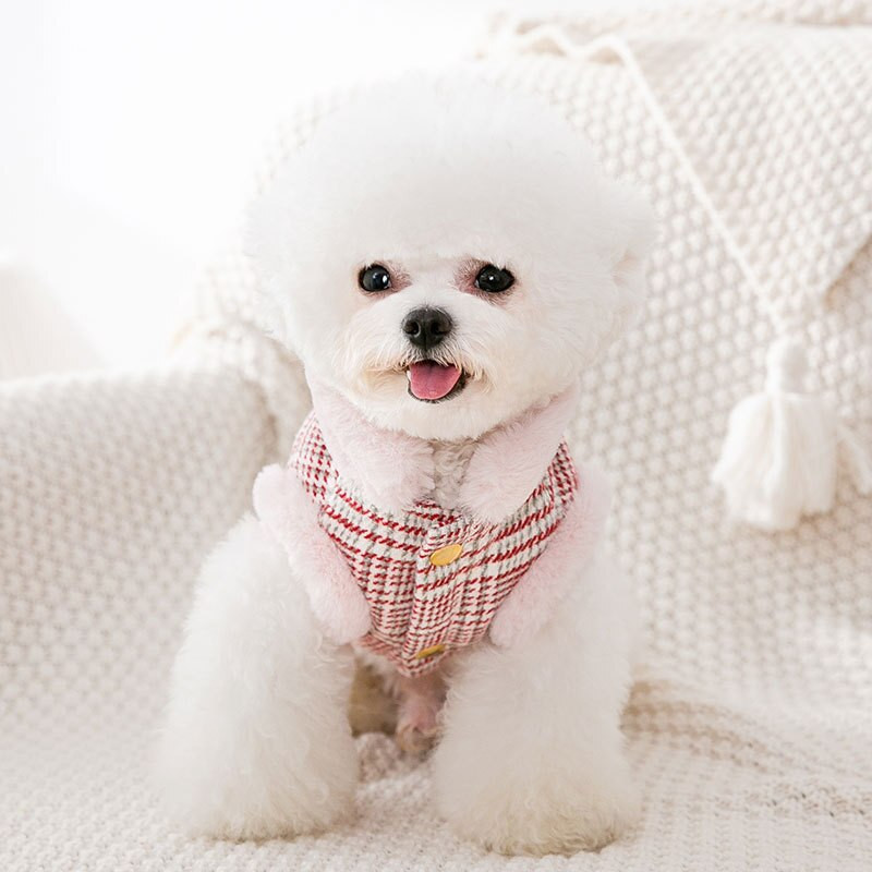 Drabužiai augintiniams Ruduo žiema Vidutinis mažas šunų vilnos liemenė Mielas languotas paltas Mados pakinktai Kačiukas šuniukas Saldus švarkas Čihuahua Pudelis