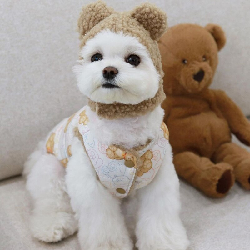 Lemmikloomade moevest sügistalv keskmine väike koerariided armas kapuuts Palus ärevusmantel magus särk Kassipoeg kutsikas soe jope puudel