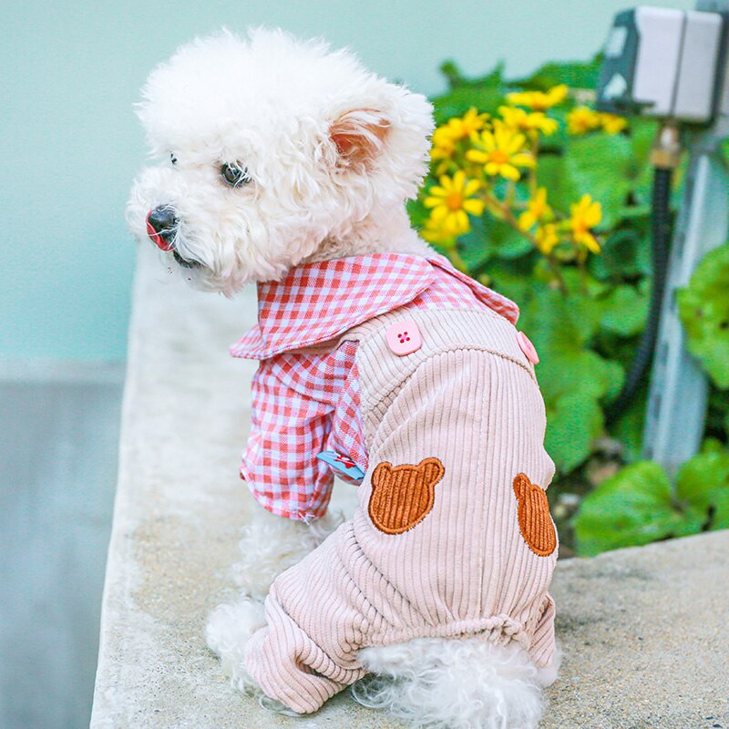 Uus koerte kassi kombinesoon Plaid&Bear disainiga kahekordse komplektiga kevad-/suvised riided koertele kassidele kutsikad