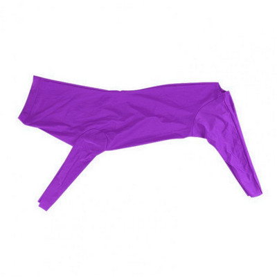 Sügisene lemmiklooma kostüüm ilma deformatsioonita ärevus rahustav koerte kuur Kaitsjad riided nelja jalaga keha kombinesoon