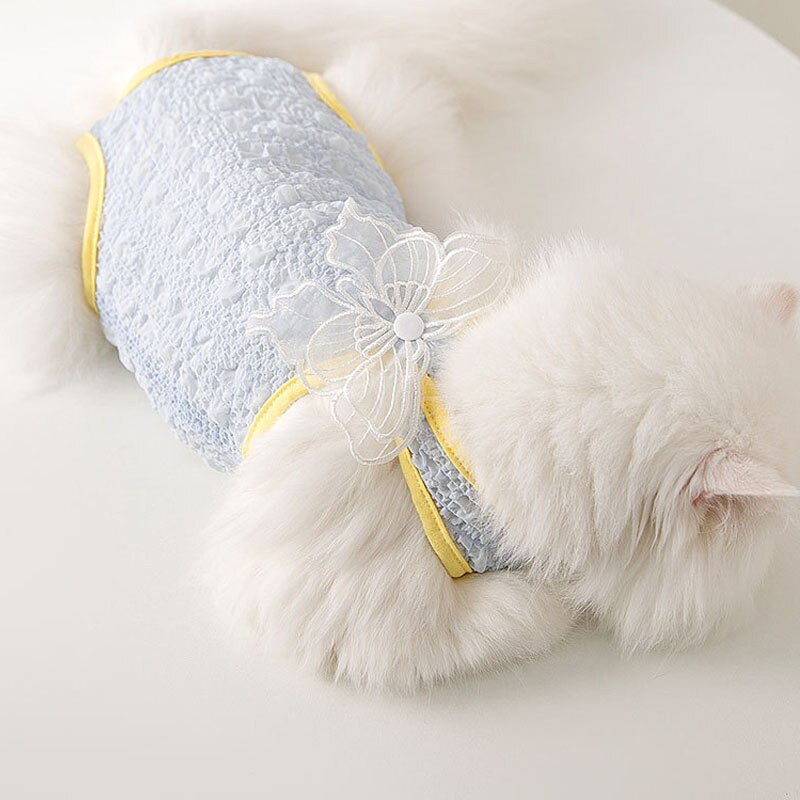 Mėlynas šuns atkūrimo kostiumas naminiams gyvūnėliams vasariniai pižamos 3D drugelis Seersucker kombinezonas mažam šuniui ropa jorkšyras