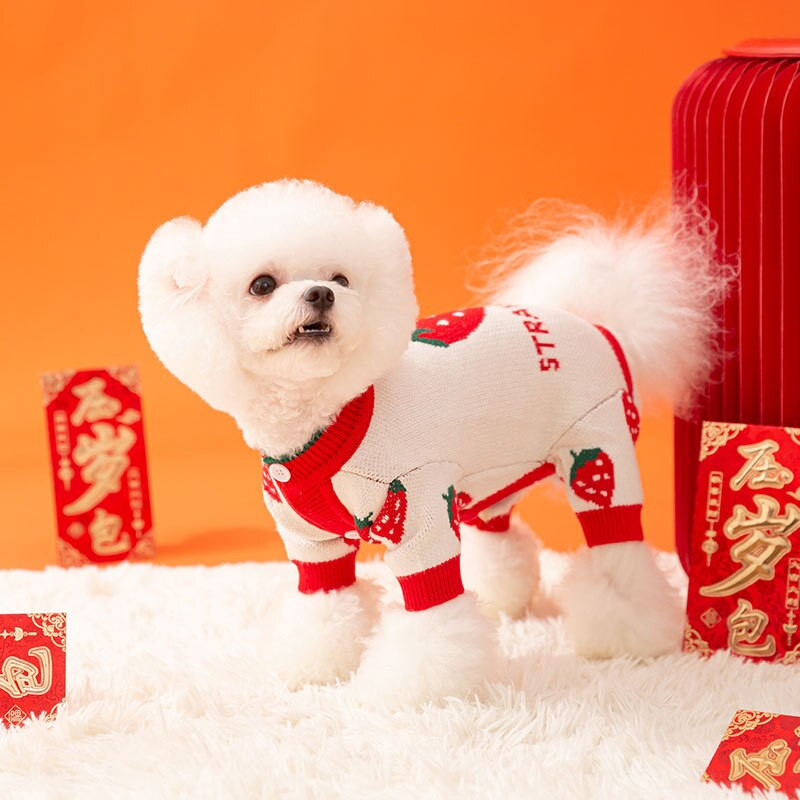 Šteniatko Nový rok Slávnostný štvornohý sveter Kreslený zajačik Oblečenie pre psov Teddy Pletený domáci miláčik Zimný kabát Teplý sveter Chovateľské potreby