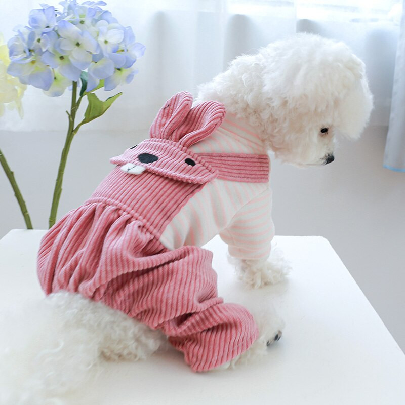 PETCIRCLE Koerariided Suurte hammastega kombinesoonid väikestele ja keskmistele koertele Kassikutsikas Kõik hooajad Lemmikloomarõivad Koerakostüümid Lemmikloomatarbed Mantel