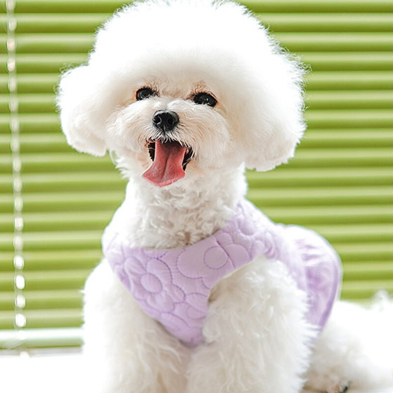 Soojad talvised koerariided Vest Prantsuse buldogi jope kutsikamantel Lemmikloomarõivad Pommeri chihuahua väikestele keskmise suurusega koertele kostüüm