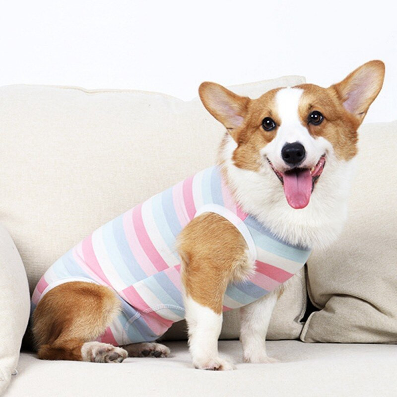 Kastračný oblek pre psov, kombinéza pre domáce zvieratá, oblečenie pre psov, údržba oblečenia, zotavovací oblek pre psy, proti olizovaniu rán po operácii