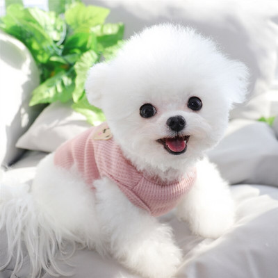 Waffle Dog Dezbraca catelus Vesta respirabila Vara Animal de companie Pulover Teddy Bear Haine moi Cadou de aniversare S-2XL