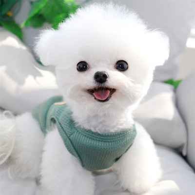 Waffle Dog Dezbraca catelus Vesta respirabila Vara Animal de companie Pulover Teddy Bear Haine moi Cadou de aniversare S-2XL