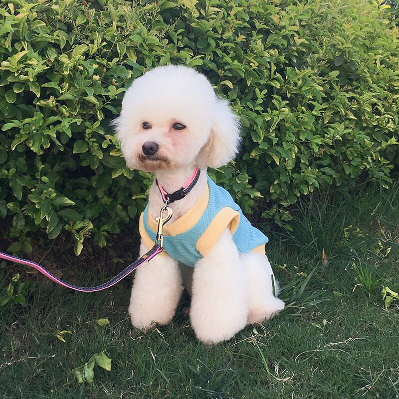 Suvised lemmikloomakoerte riided Armsad prinditud koerad Vest Korea õhukesed kassirõivad Väike kutsikavest Koera T-särk Lemmikloomarõivad 2022 Uus