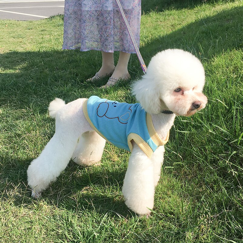 Suvised lemmikloomakoerte riided Armsad prinditud koerad Vest Korea õhukesed kassirõivad Väike kutsikavest Koera T-särk Lemmikloomarõivad 2022 Uus