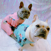 Prancūzų buldogo kombinezonas mopso kostiumui PC1441 XS-XL