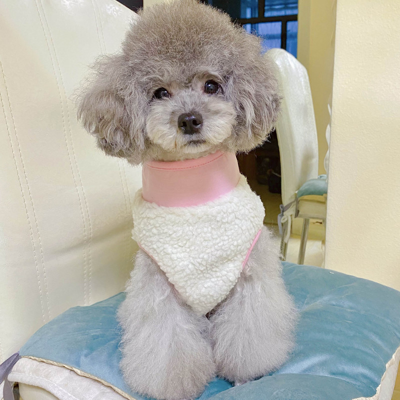 Oblečenie pre domáce zvieratá, jeseň/zima, stredne veľký, malý pes, bunda na zips, módna vesta, teplá vlnená vesta, mačiatko, šteňa, pekný kabát, čivava, yorkshirský štýl